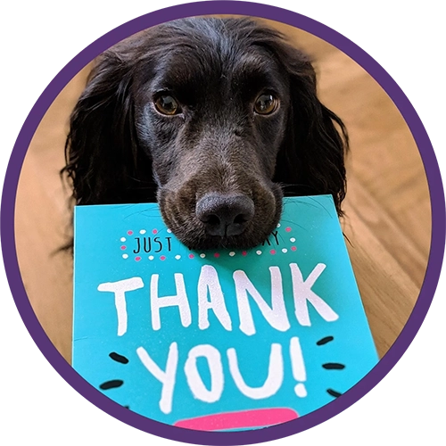 Dog holding a bright blue thank you card in its mouth